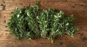 Jak se zbavit portulaky - 5 způsobů kontroly plevele a preventivních opatření